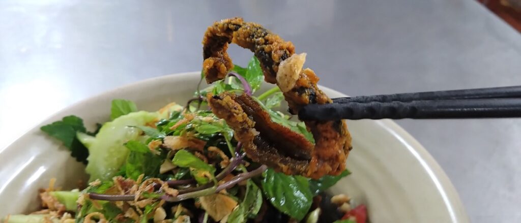 【ベトナムローカルグルメ】ハノイでうなぎ春雨を食べる　うなぎの唐揚げ