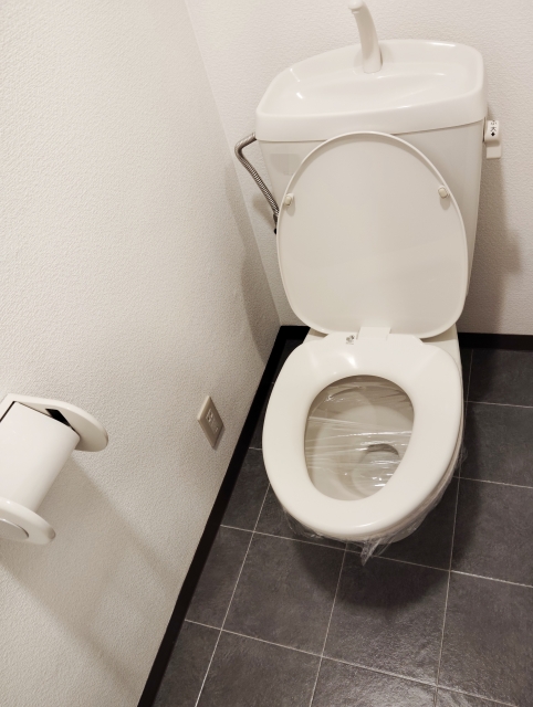 【ベトナムのトイレ事情】トイレットペーパーって流すのはダメ？